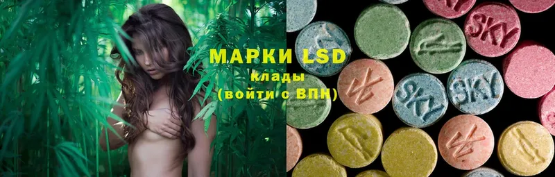 ЛСД экстази ecstasy  Гвардейск 